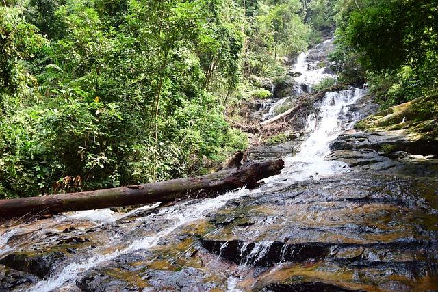 Kanching Eco Forest Park
