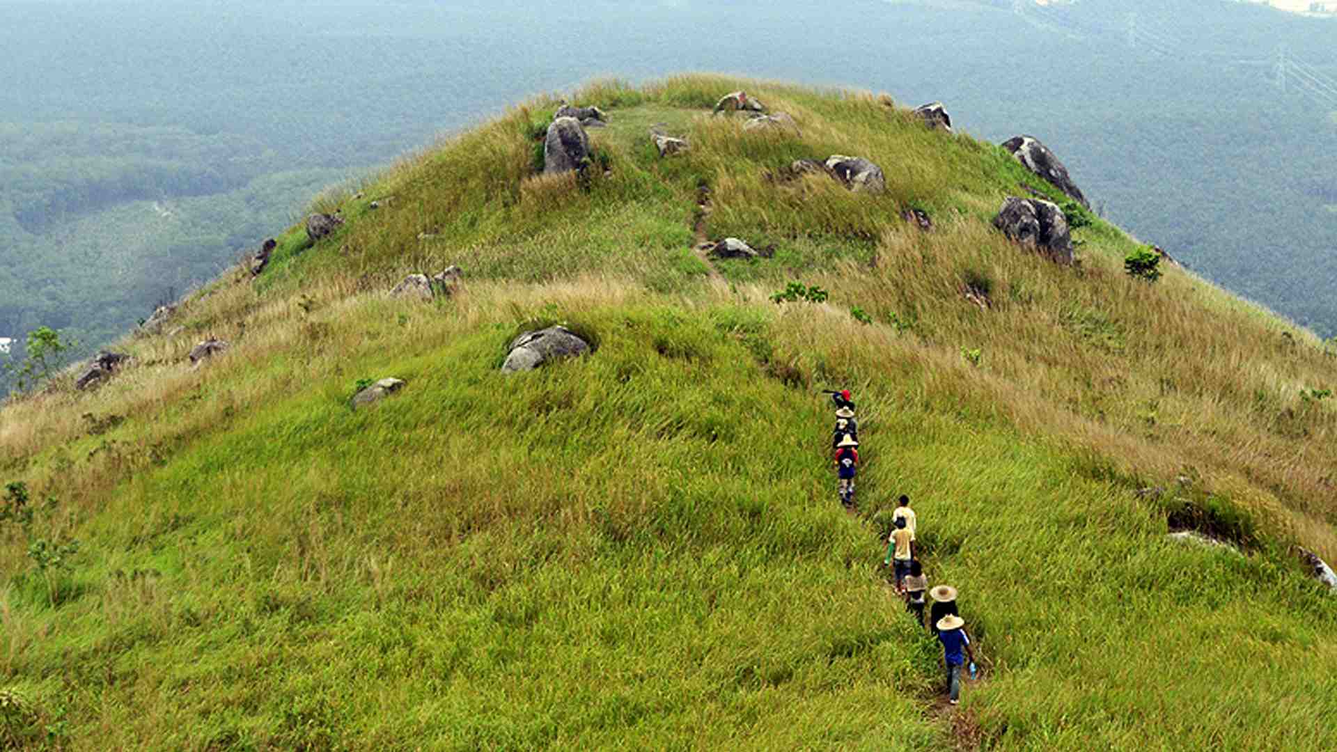 Broga Hill
