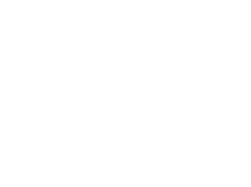 Uzbekistan The Guide